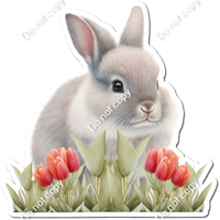 Grey Bunny with Red Tulips w/ Variant