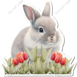 Grey Bunny with Red Tulips w/ Variant