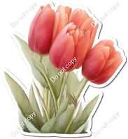 Red Tulips w/ Variants