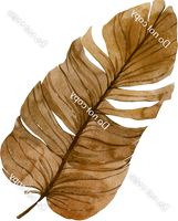 Brown Boho Leaf # 1 w/ Variants