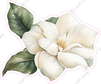 Magnolia 3 w/ Variants