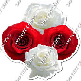 Red & White Roses with Leaves
