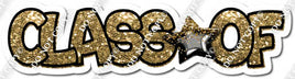 Black & Gold CLASS OF statement with Black Gold Foil Balloon w/ Variant