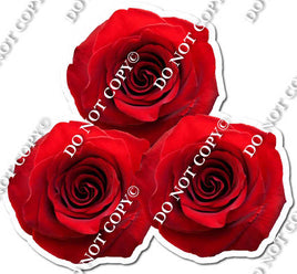 3 Red Roses